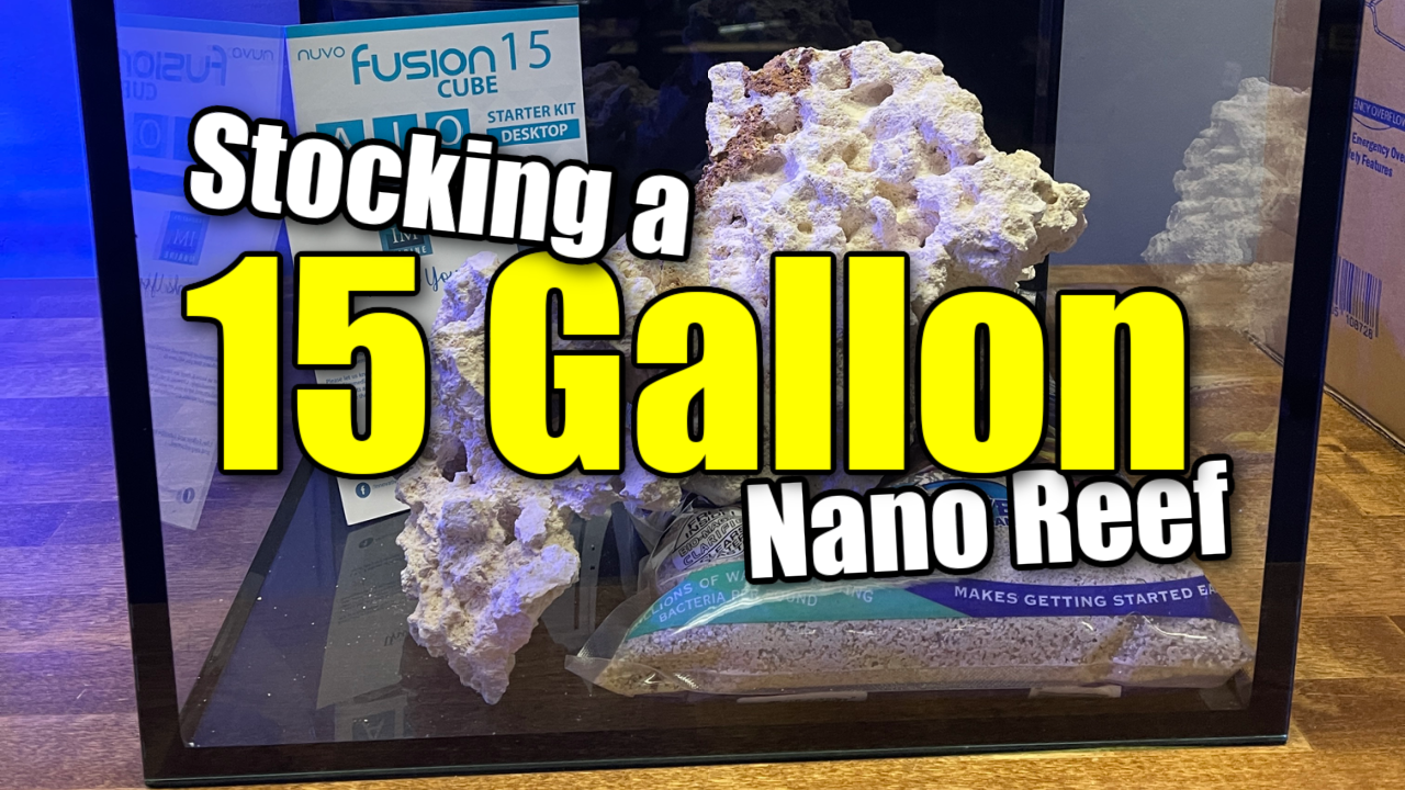 Bể san hô Nano 15 gallonBể san hô Nano 15 gallon  